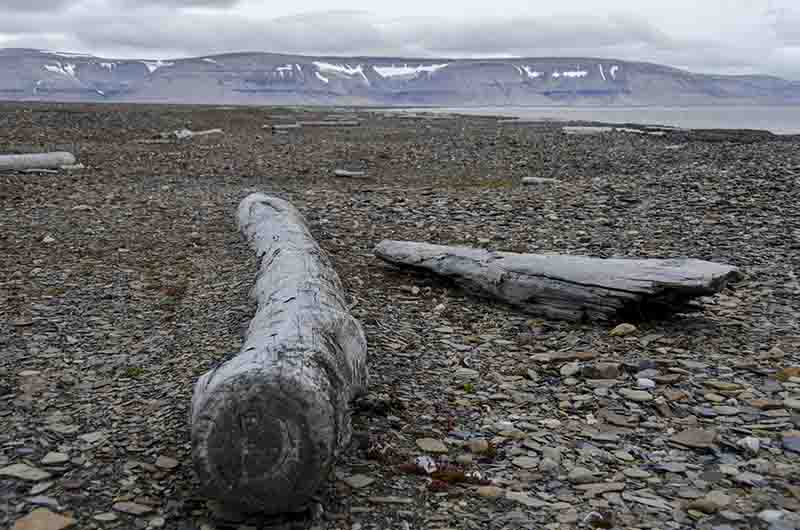 106 - Noruega - islas Svalbard - isla de Edgeoya - Diskobukta